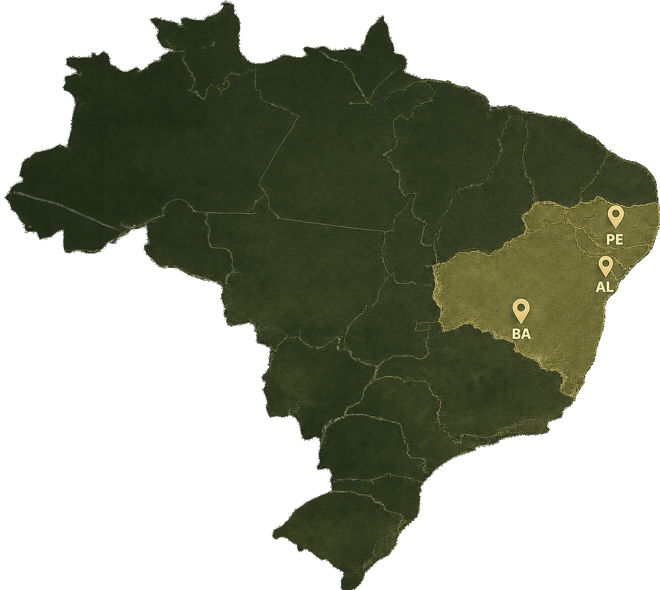Mapa do Brasil com destaque para o Nordeste